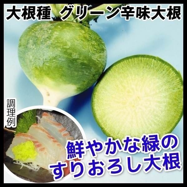 種 野菜たね ダイコン グリーン辛味大根 1袋（5ml）