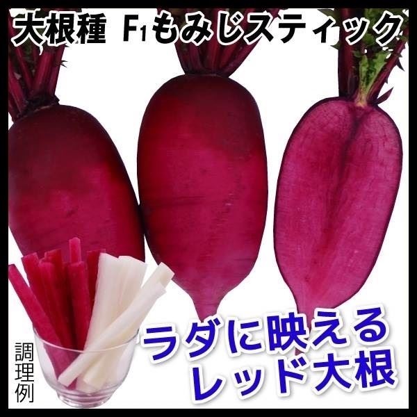 種 野菜たね ダイコン F1もみじスティック 1袋（1.5ml）