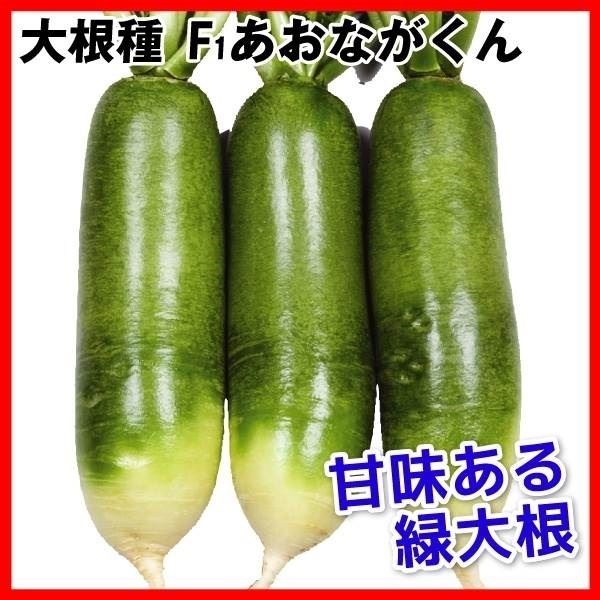 種 野菜たね ダイコン F1あおながくん 1袋（5ml）