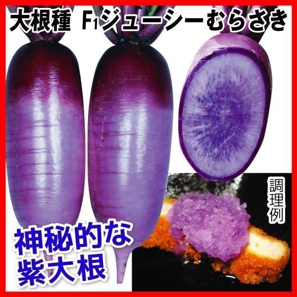 種 野菜たね ダイコン F1ジューシーむらさき 1袋（2ml）
