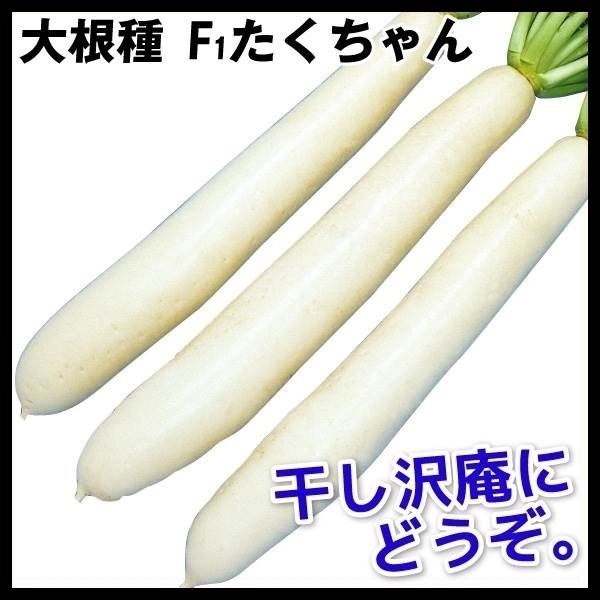 種 野菜たね ダイコン F1たくちゃん 1袋（4ml）