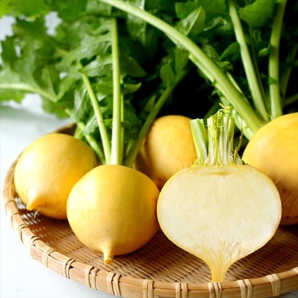 種 野菜たね カブ 味こがね PVP 1袋（1.8ml）