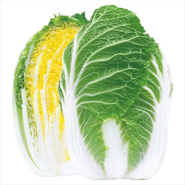 種 野菜たね ハクサイ F1剛黄EX 1袋（4ml）