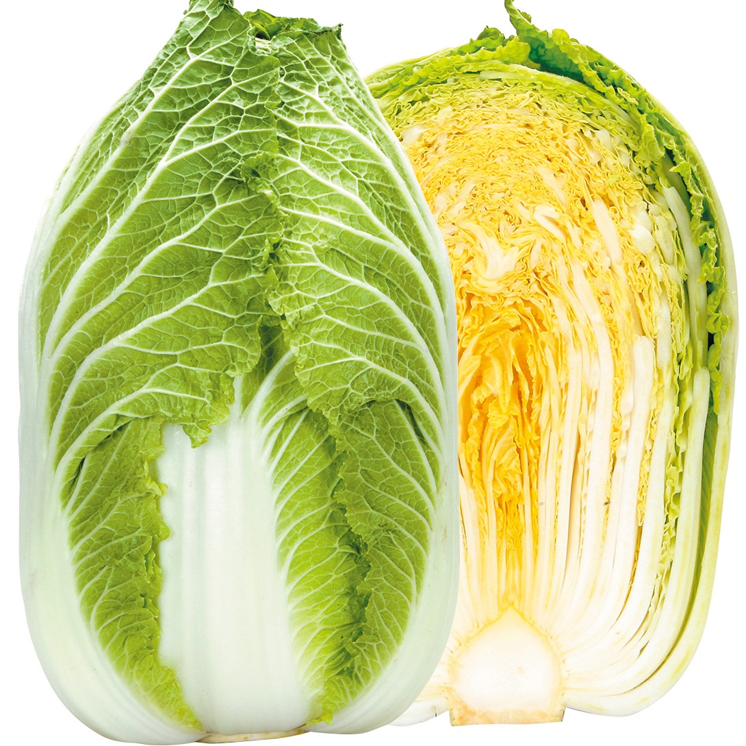 種 野菜たね ハクサイ F1冬こがね 1袋（100粒）
