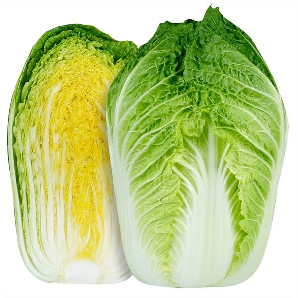 種 野菜たね ハクサイ F1スーパーキング90 1袋（3ml）