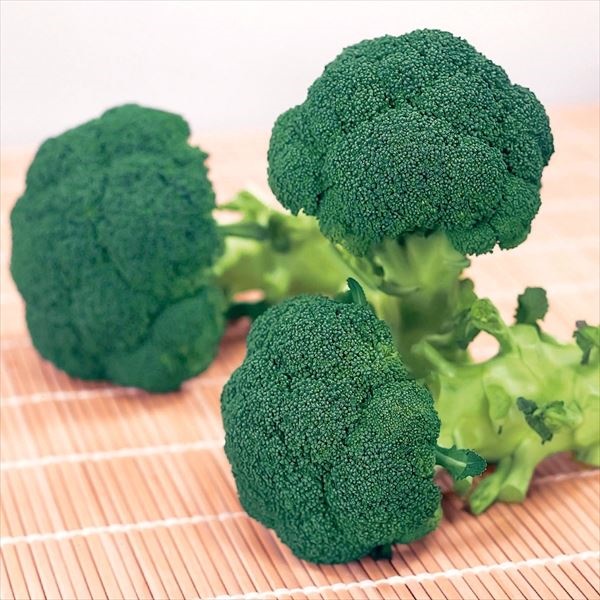 種 野菜たね ブロッコリー F1緑笛 1袋（1ml）