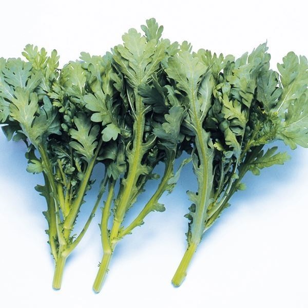 種 野菜たね 春菊 なべ奉行 1袋（20ml）