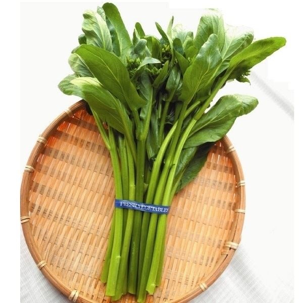 種 野菜たね 菜類 はななの仲間 アスパラッチェ 1袋（1ml）