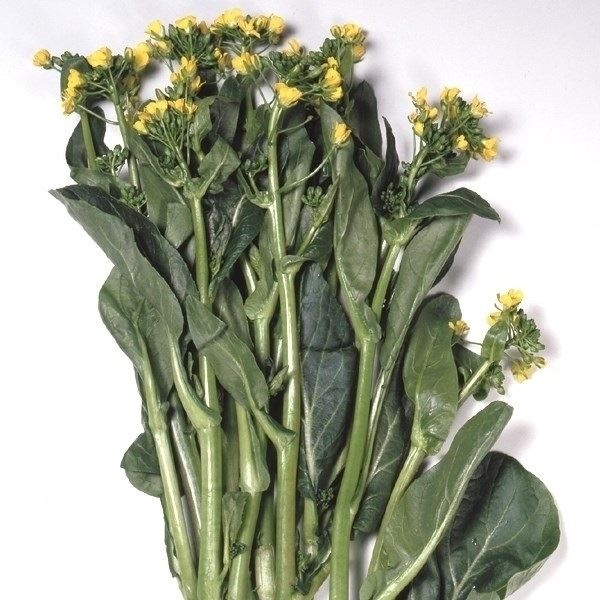 種 野菜たね 菜類 ツケナ オータムポエム アスパラ菜 1袋（1ml）
