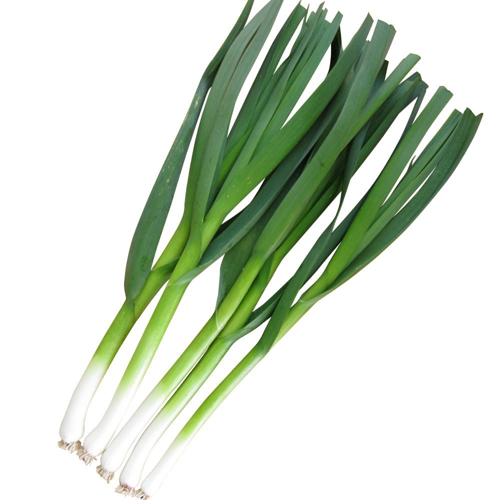 種 野菜たね 葉ニンニク ハーリック