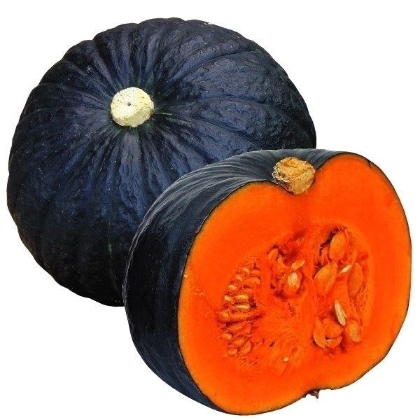 種 野菜たね 露地抑制栽培 カボチャ F1極王かぼちゃ 1袋（10粒）