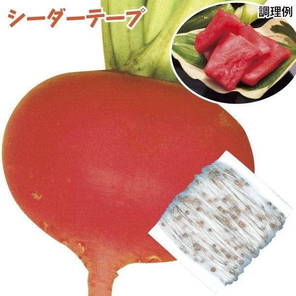 種 野菜たね シーダーテープ カブ F1紅かぶ 1袋（10m）