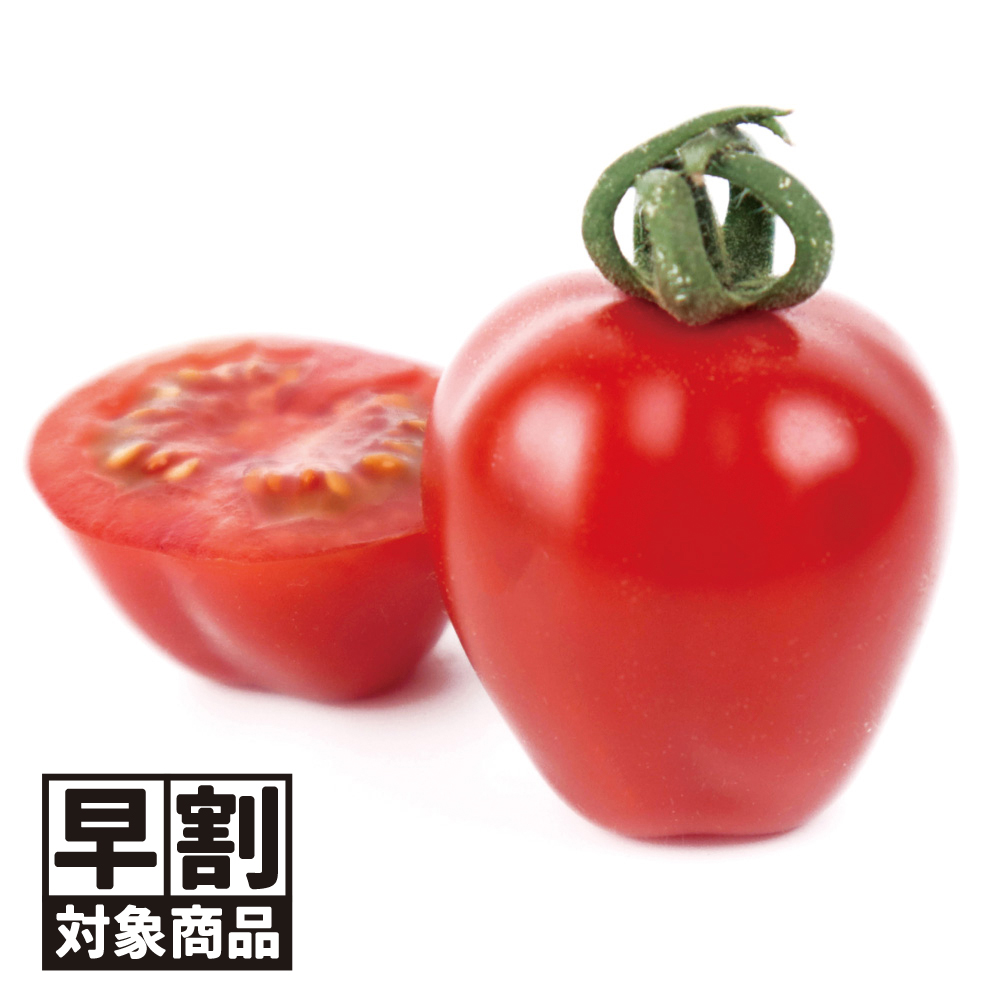 （早期予約販売たね）種 野菜たね ミニトマト F1TYアップルベリープレミアム 1袋（7粒） /26年春発送【送料グループ:54ﾂ】