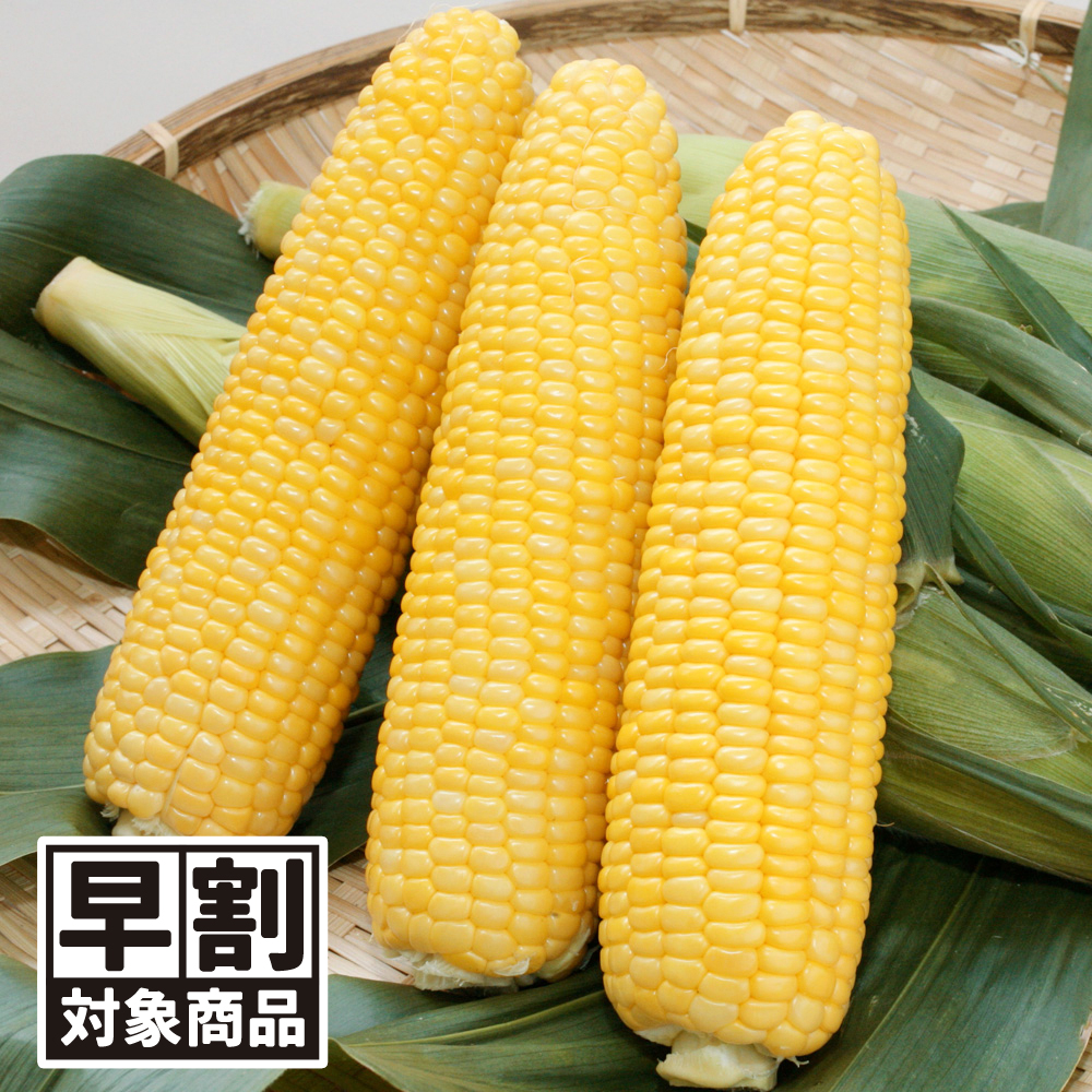 （早期予約販売たね）種 野菜たね トウモロコシ F1サニーショコラ ライラ 1袋（50ml） /26年春発送【送料グループ:54ﾂ】