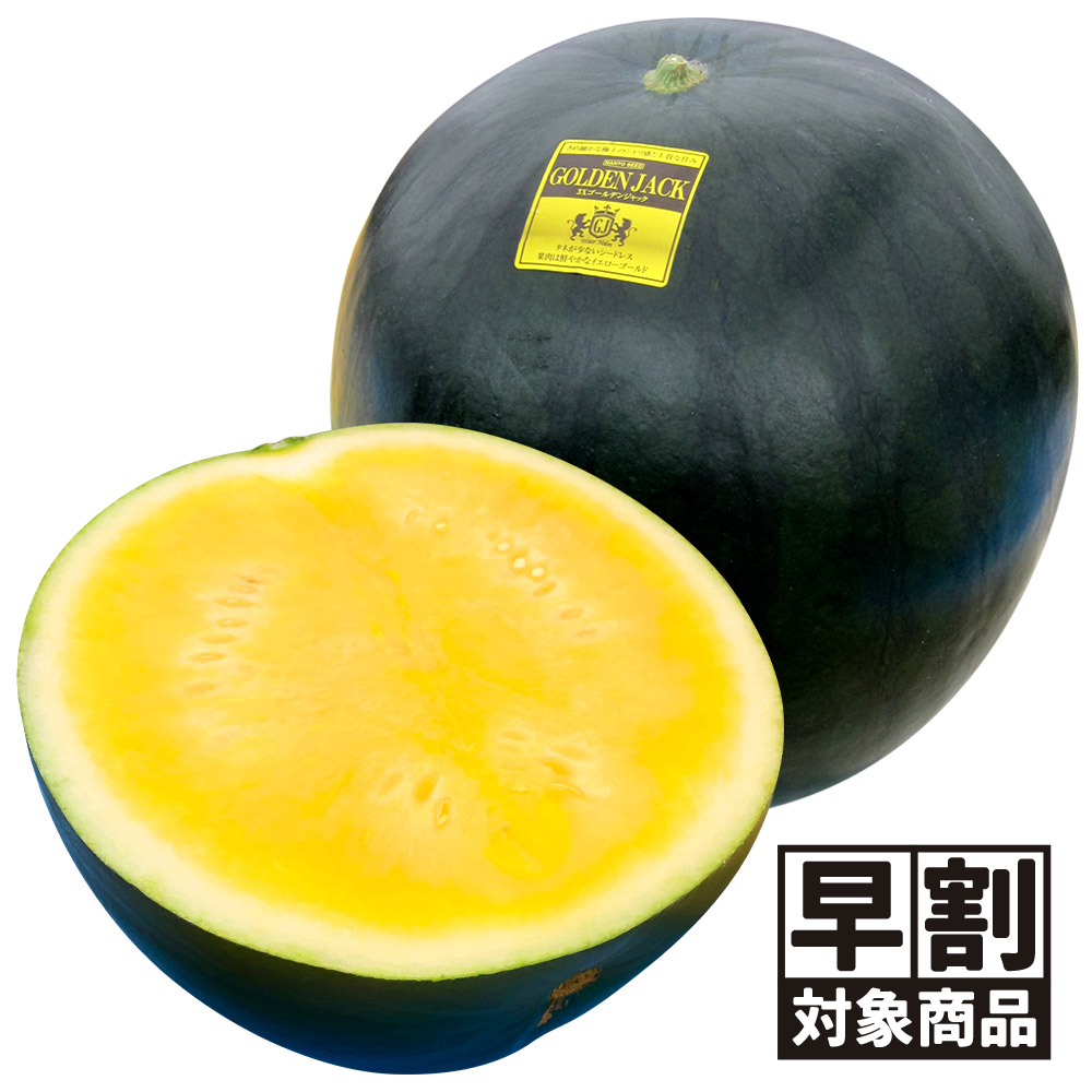 （早期予約販売たね）種 野菜たね 種なし 大玉スイカ F1 3Xゴールデンジャック 1袋（5粒） /26年春発送【送料グループ:54ﾂ】