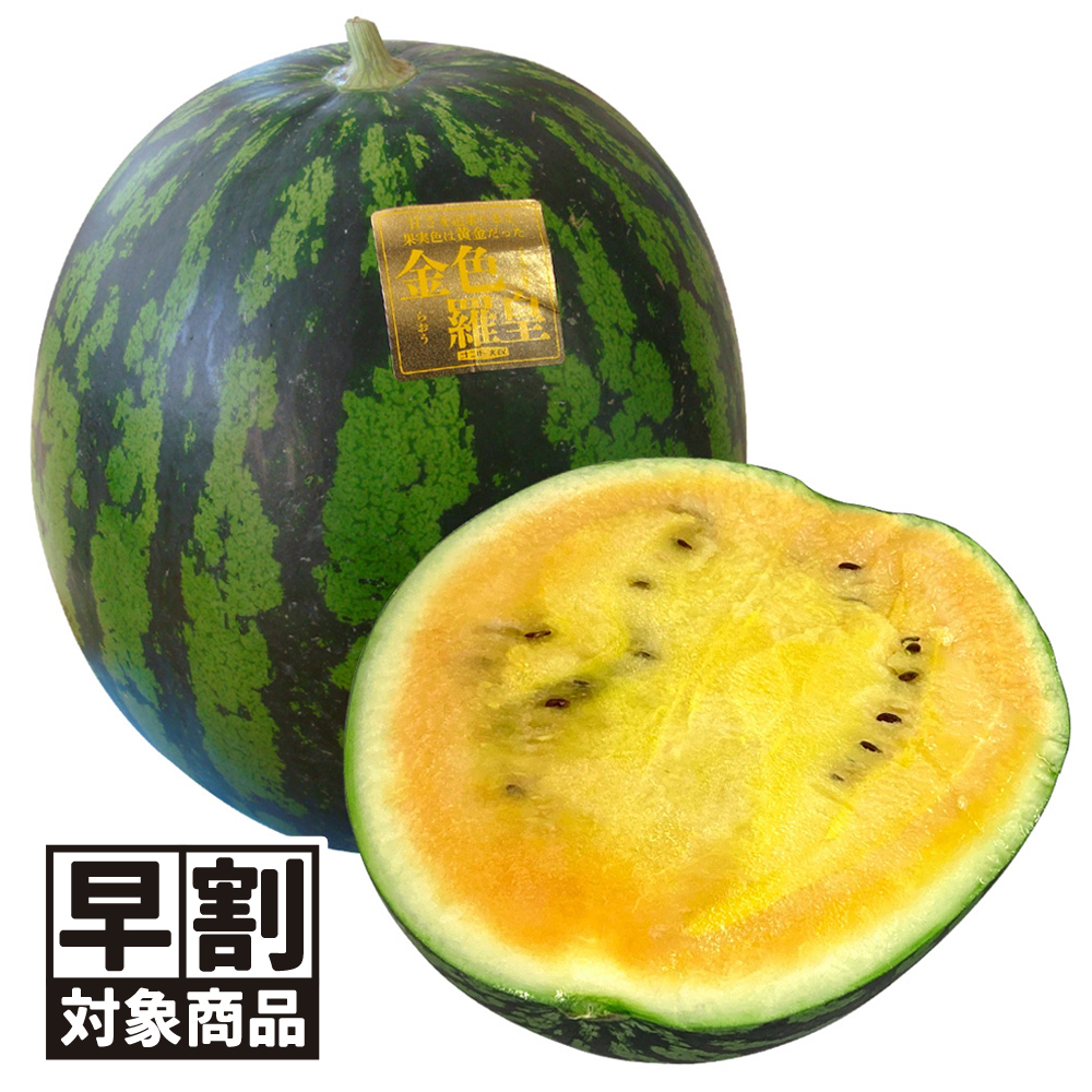 （早期予約販売たね）種 野菜たね 大玉スイカ F1金色羅皇 PVP 1袋（5粒） /26年春発送【送料グループ:54ﾂ】