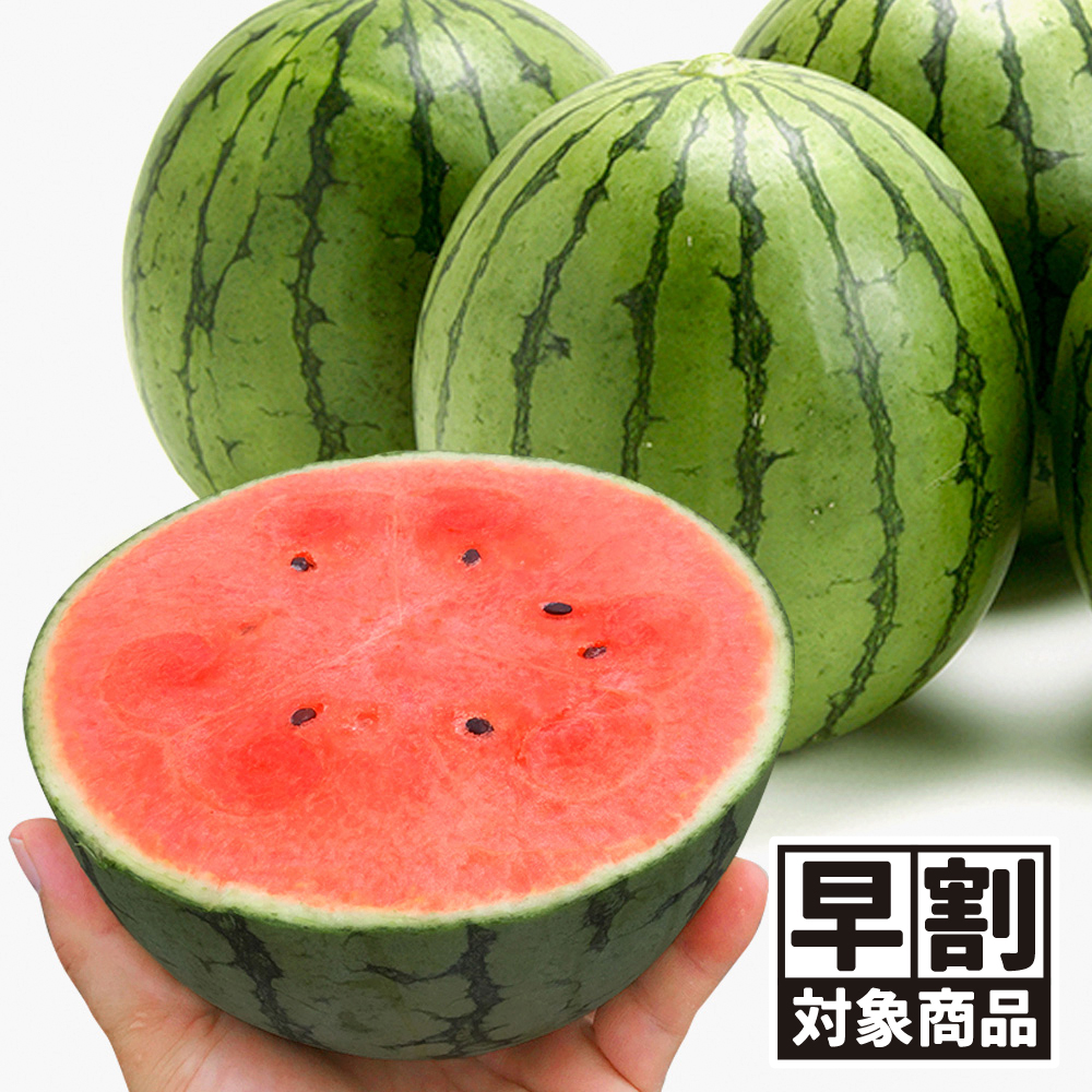 （早期予約販売たね）種 野菜たね 小玉スイカ F1ピノ・ガールR 1袋（7粒） /26年春発送【送料グループ:54ﾂ】