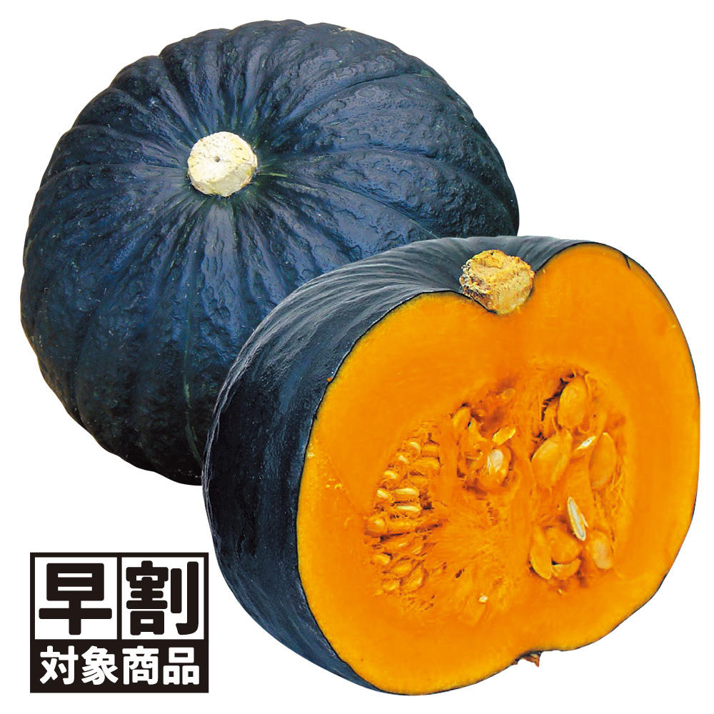 （早期予約販売たね）種 野菜たね カボチャ F1極王かぼちゃ 1袋（10粒） /26年春発送【送料グループ:54ﾂ】