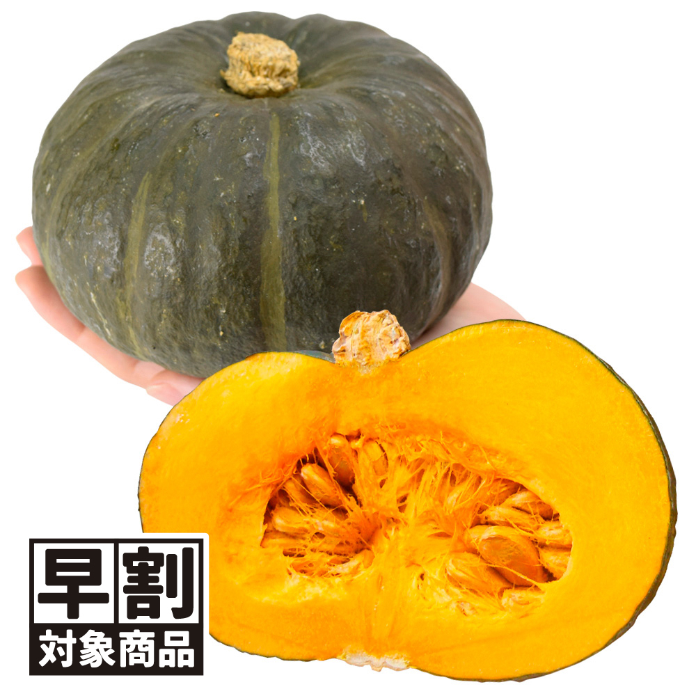 （早期予約販売たね）種 野菜たね カボチャ F1マロン7 1袋（10粒） /26年春発送【送料グループ:54ﾂ】