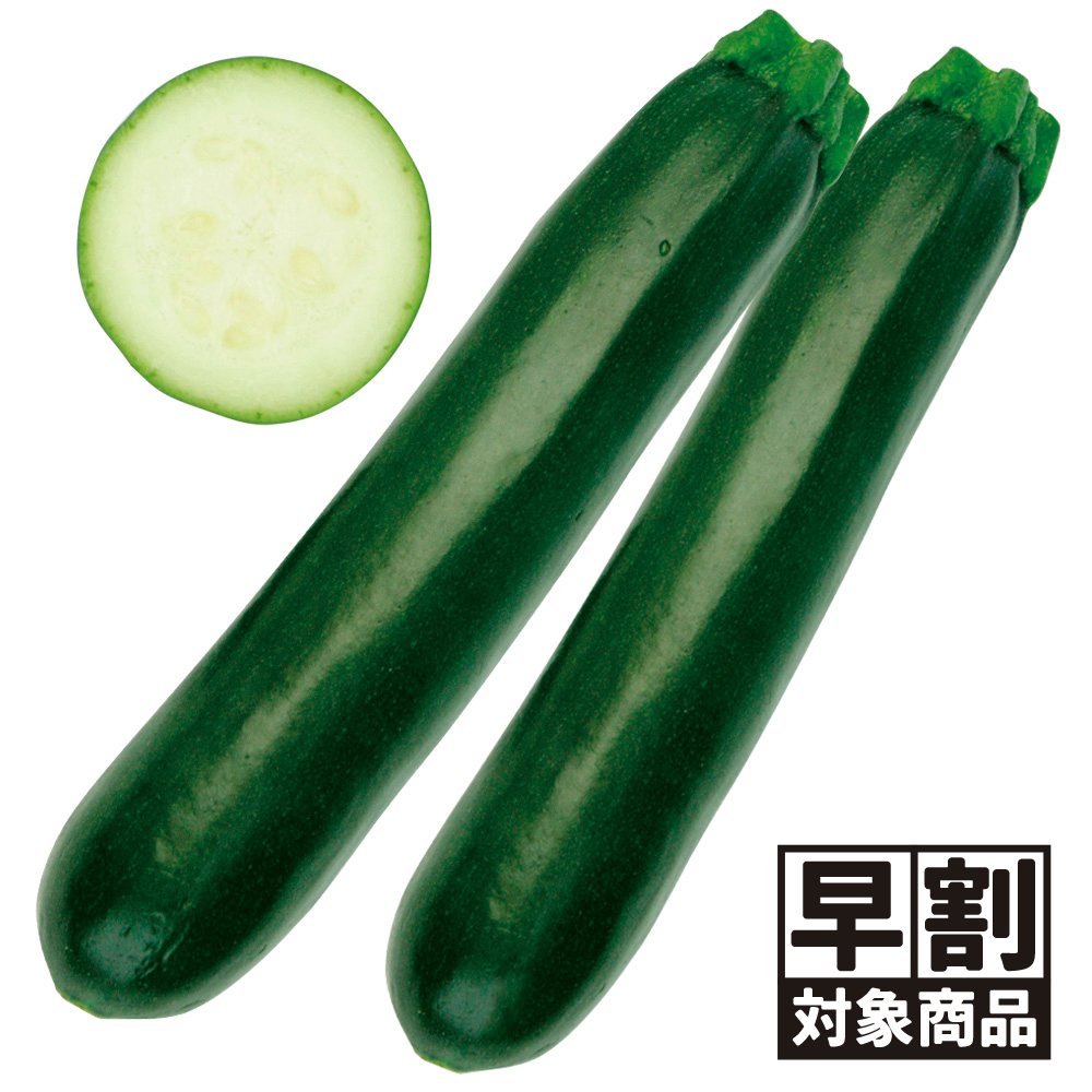 （早期予約販売たね）種 野菜たね ズッキーニ F1ゼルダ・ネロ 1袋（10粒） /26年春発送【送料グループ:54ﾂ】