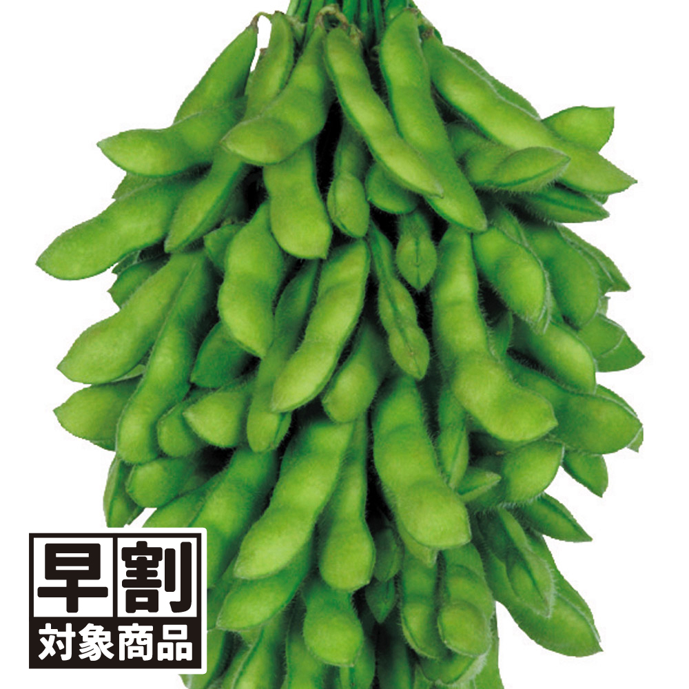（早期予約販売たね）種 野菜たね エダマメ 神風香PVP（R） 1袋（40ml） /26年春発送【送料グループ:54ﾂ】