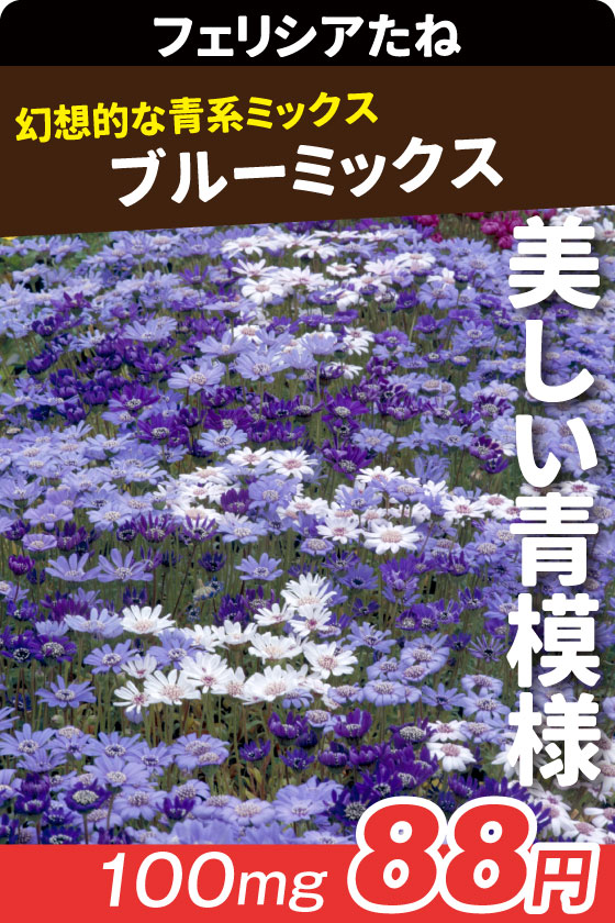 フェリシア ブルーミックス