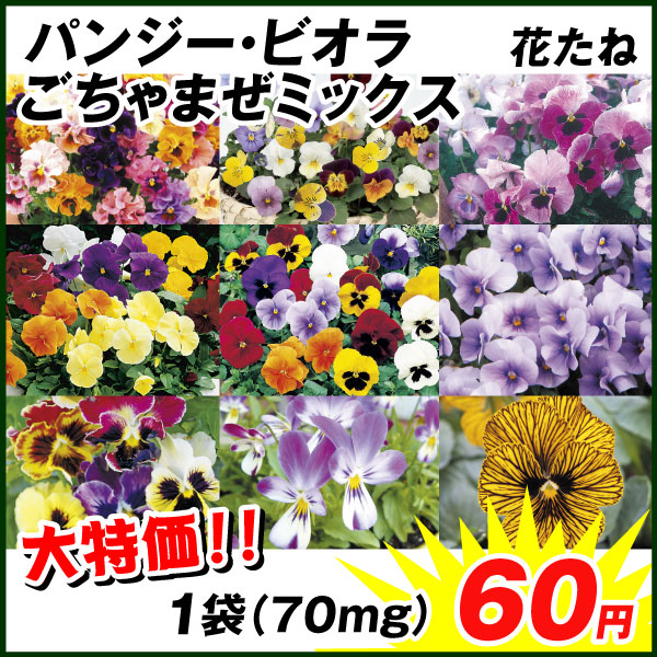 種 花たね パンジー・ビオラごちゃまぜミックス 1袋(70mg)