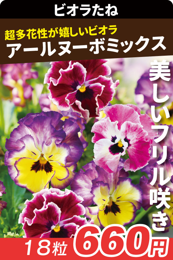 ビオラ アールヌーボミックス
