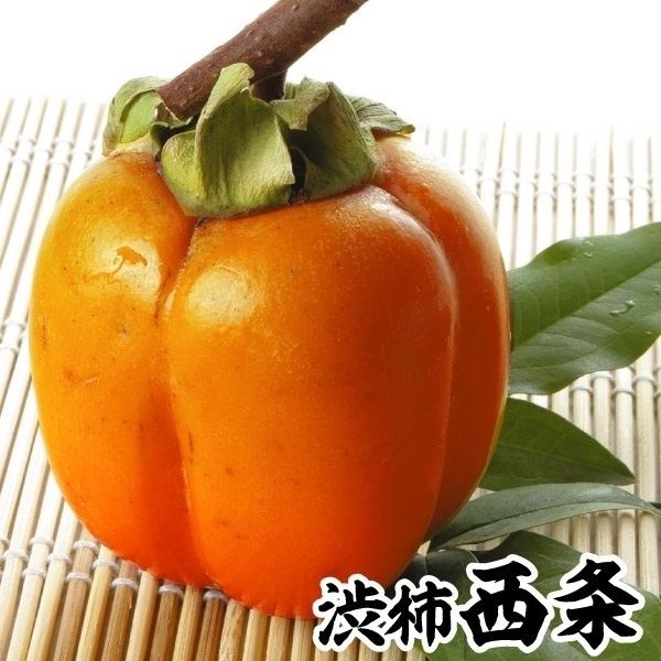 果樹苗 カキ 渋柿 西条 1株