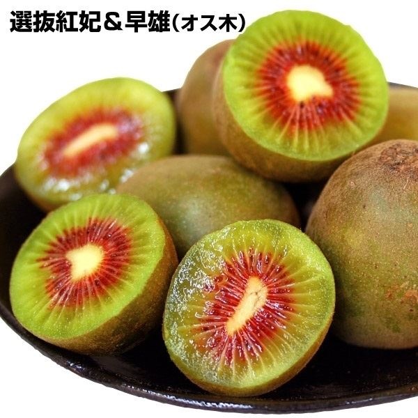 果樹苗 キウイ 選抜紅妃＆早雄（紅芯用オス木） 2種2株