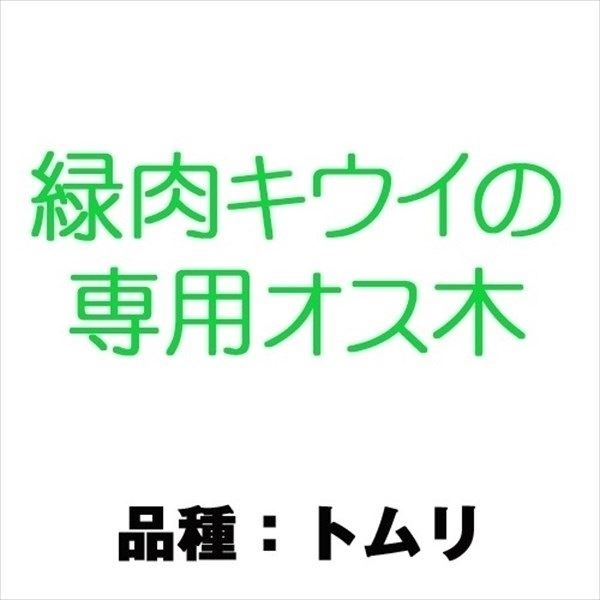 果樹苗 キウイ トムリ 緑肉キウイ用オス木 1株