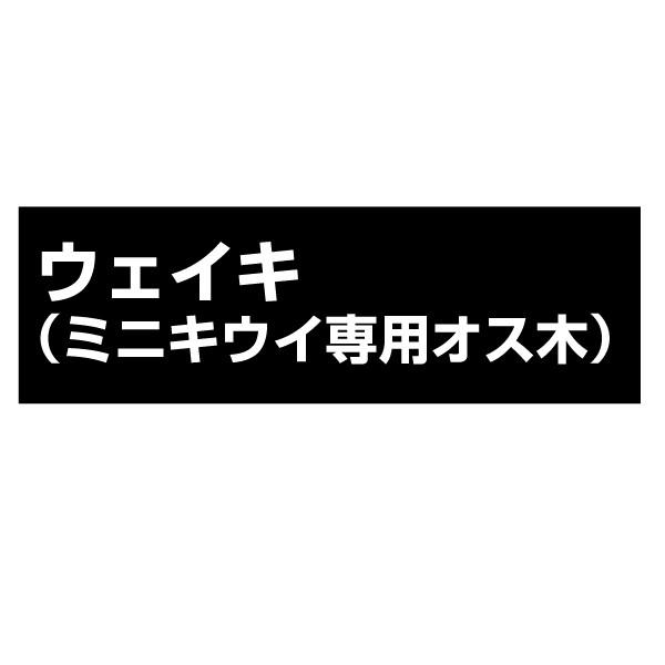 果樹苗 ミニキウイ 雄木（ウェイキ：ミニキウイ専用オス木) 1株