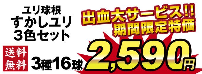 期間限定すかしゆりセット価格