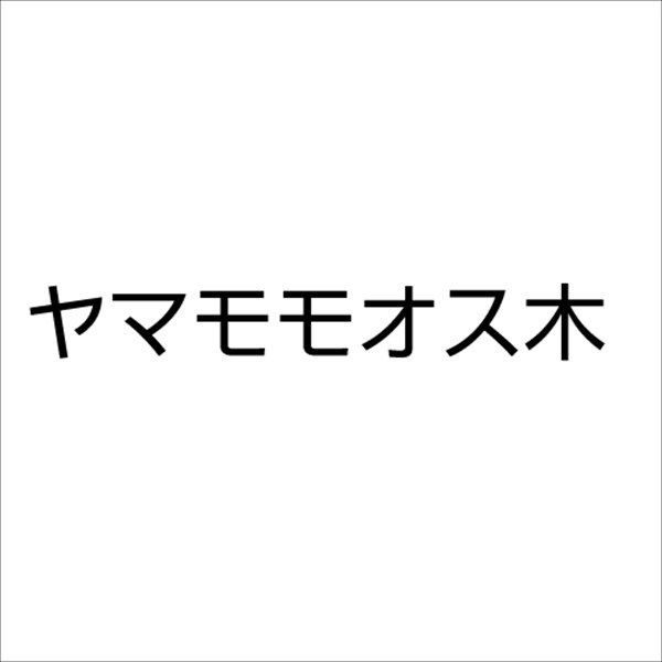 果樹苗 ヤマモモ ヤマモモオス木 1株