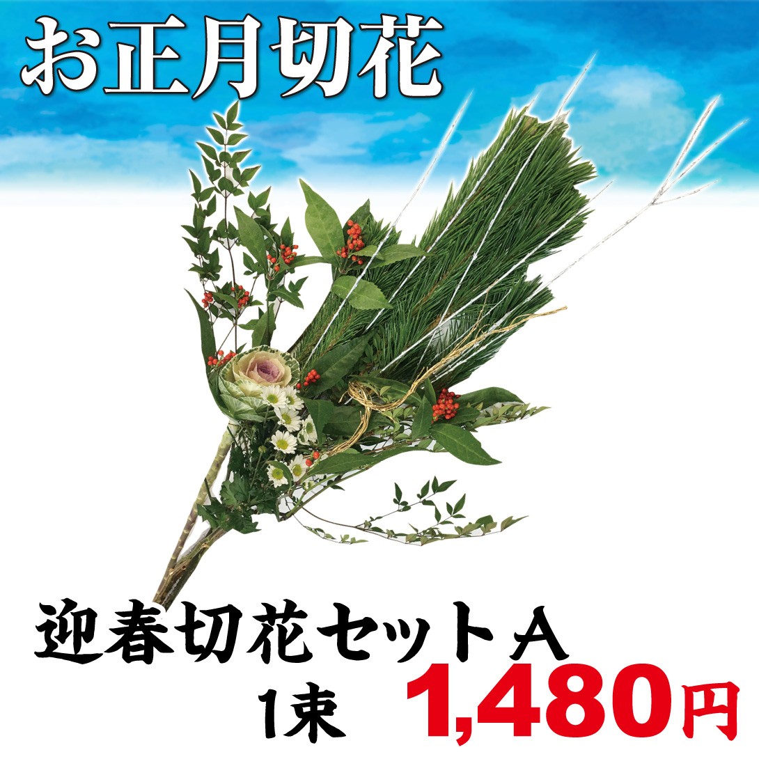 お正月切花 迎春切花セットA 1束/[プラチナ会員限定チラシ］