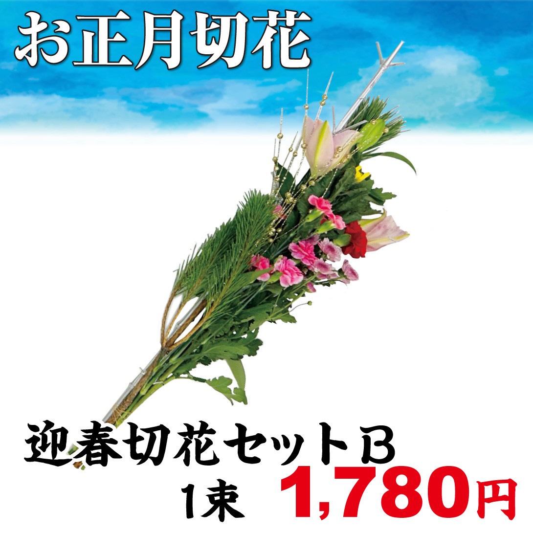 お正月切花 迎春切花セットB 1束/[プラチナ会員限定チラシ］
