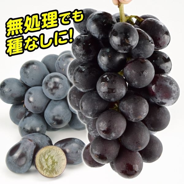 BKシードレスPVP ブドウ
