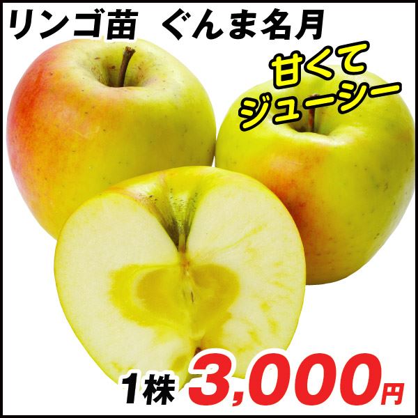 ぐんま名月