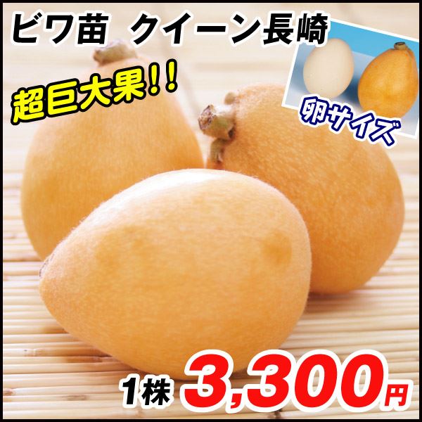 クイーン長崎