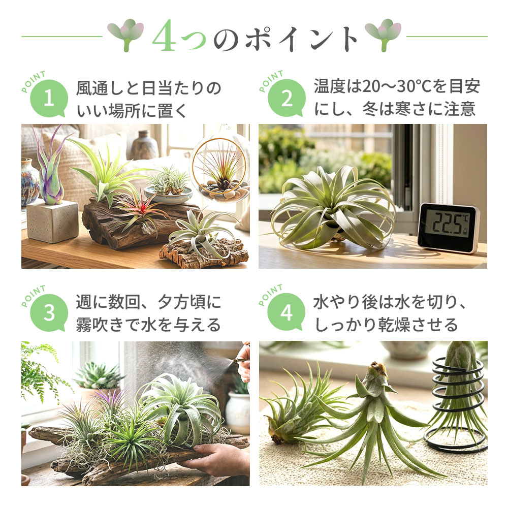 4つのポイント