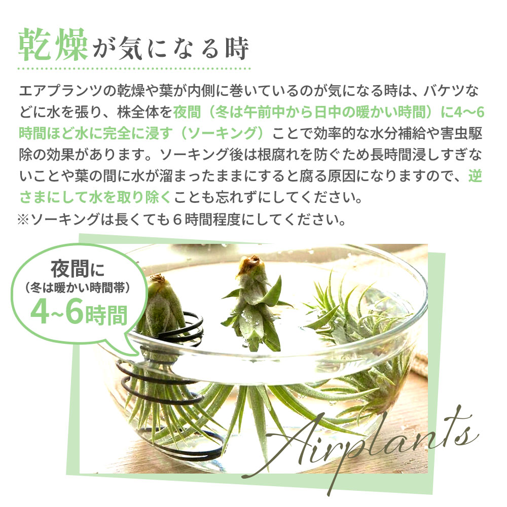 乾燥が気になる時