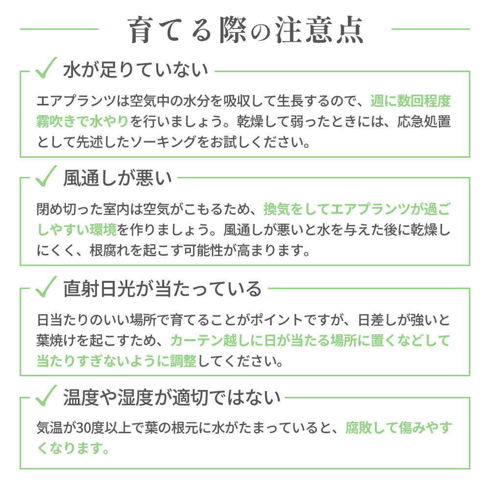 育てる際の注意点