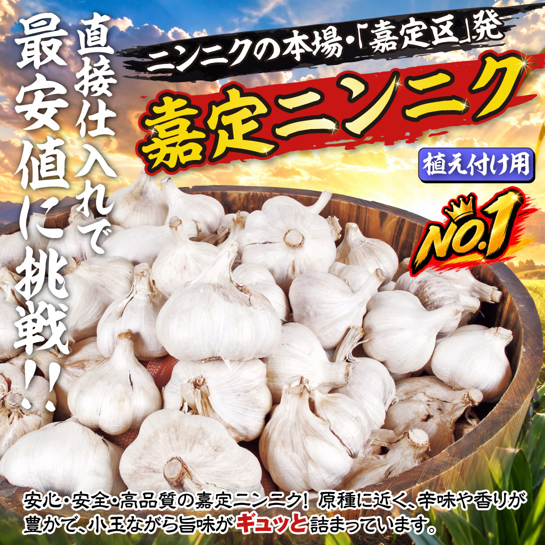 国華園オンラインショップ / ニンニク 種球 嘉定ニンニク (種球) (中国産)