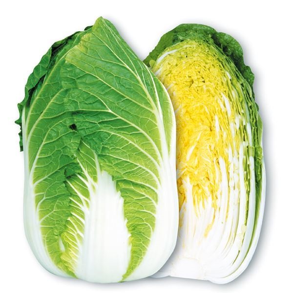 種 野菜たね ハクサイ F1黄芯85日白菜 1袋（2ml）