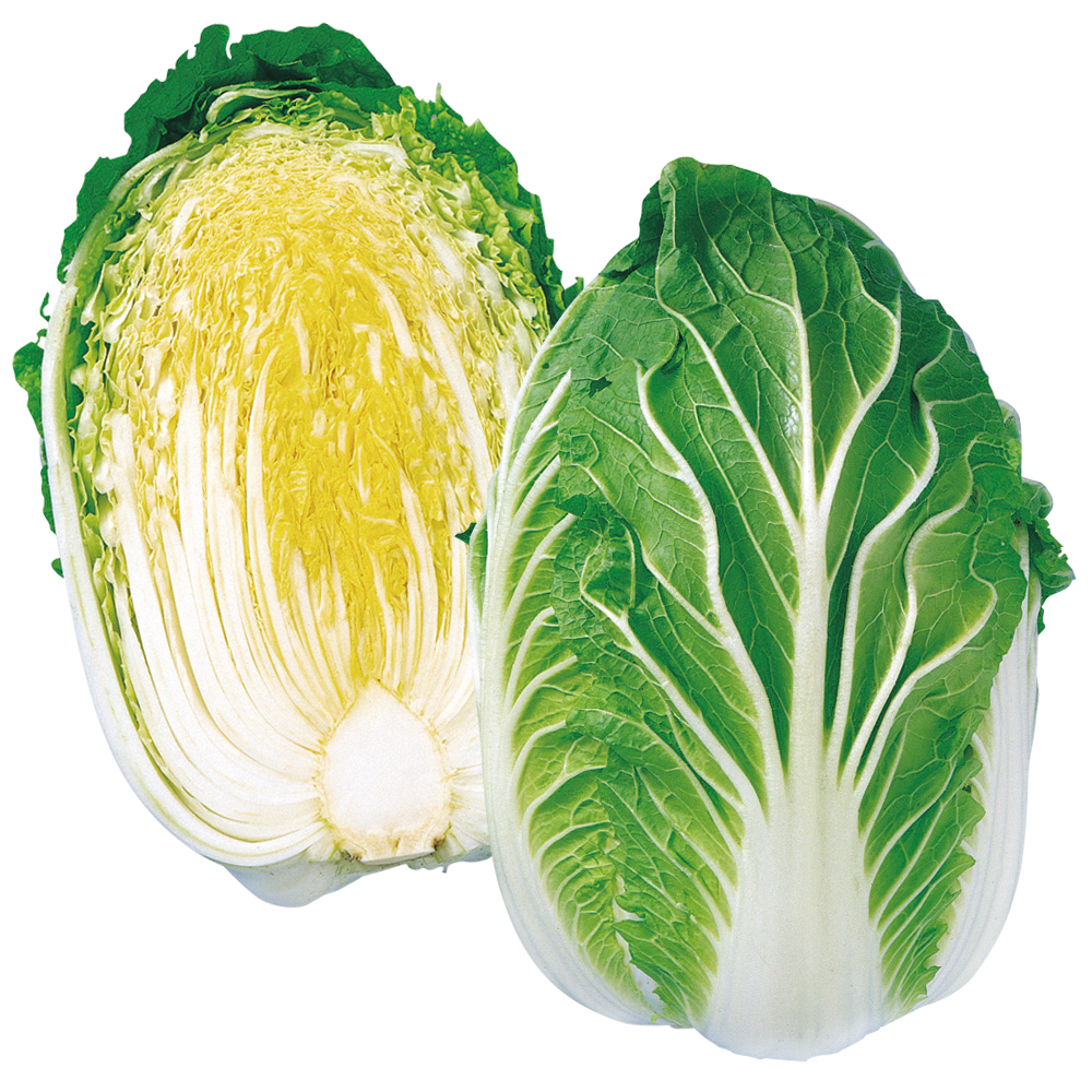 種 野菜たね ハクサイ F1晩生黄芯白菜 1袋（2ml）