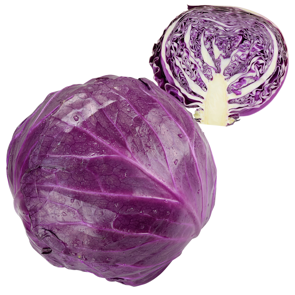 種 野菜たね キャベツ F1レッドボールキャベツ 1袋（0.4ml）