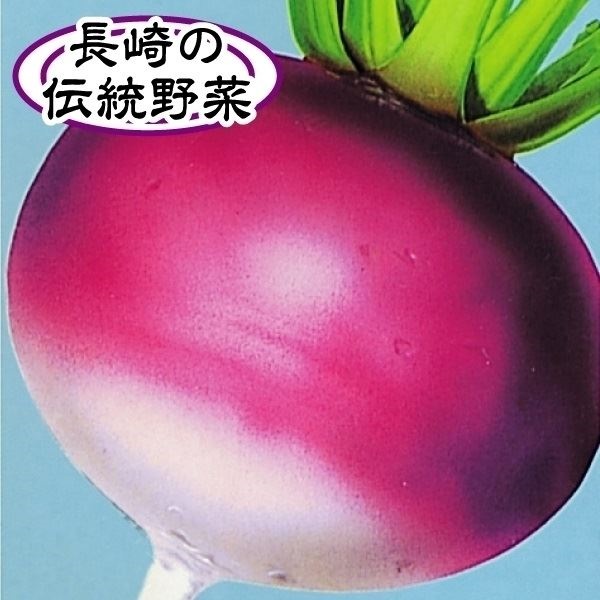 種 野菜たね カブ 長崎赤かぶ