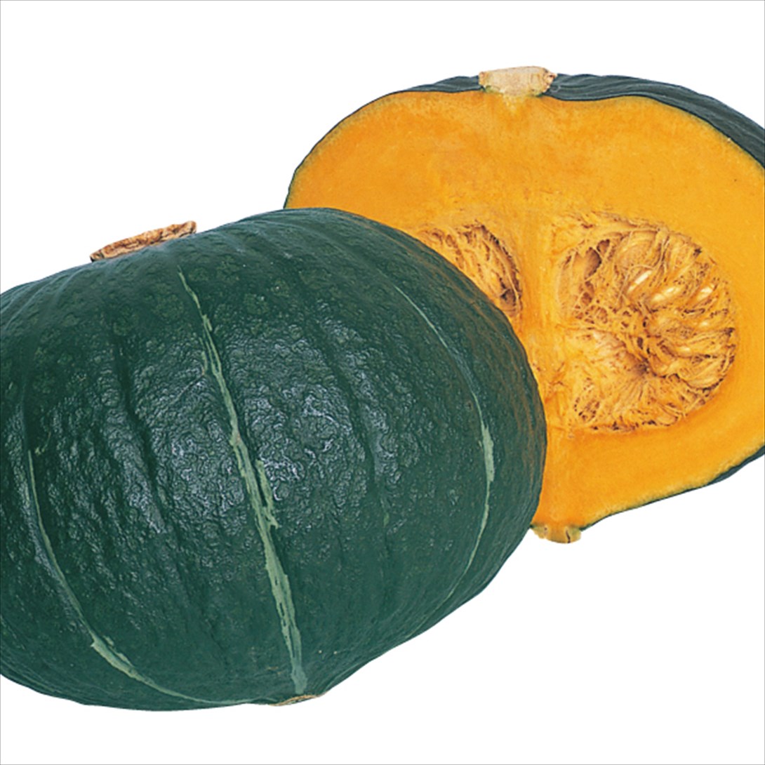 種 野菜たね 秋どり野菜 カボチャ F1かぼちゃ大福