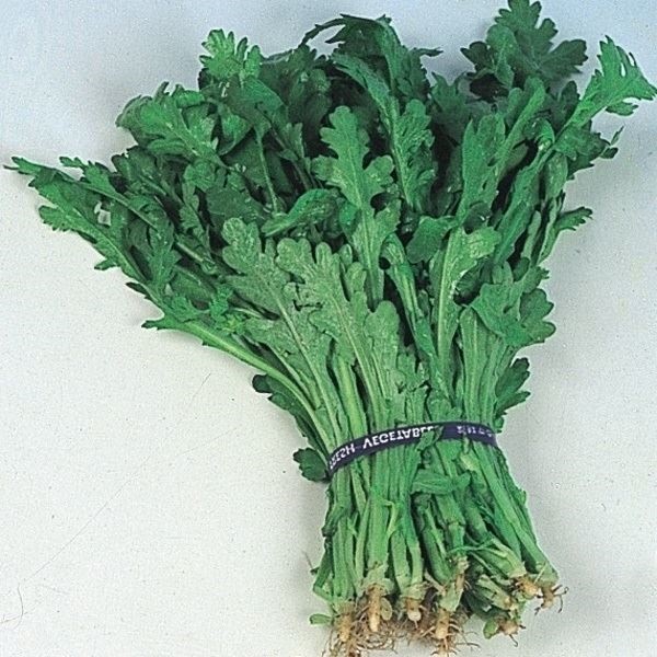種 野菜たね 春菊 株張り中葉春菊