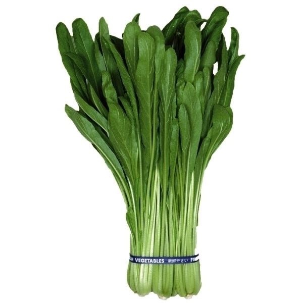 種 野菜たね 菜類 早生壬生菜 1袋（5ml）